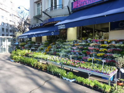 パリシリーズ　パリの風景⑩　花屋さん_b0011584_529355.jpg