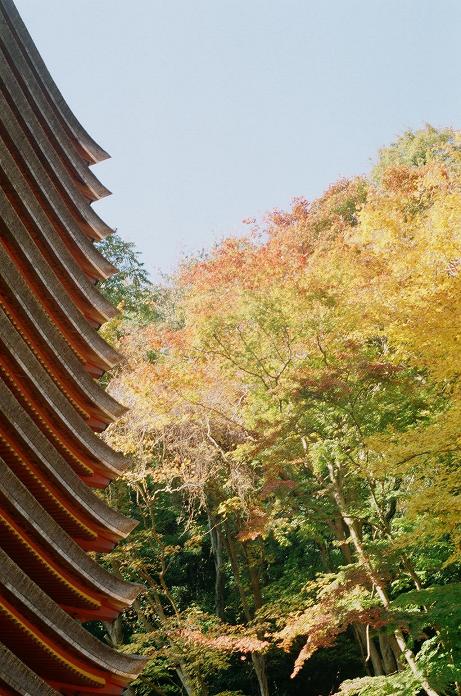 c0046587_21541378.jpg