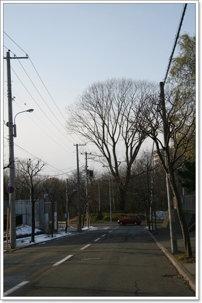 散歩道から（１２・１）_f0146493_1195545.jpg