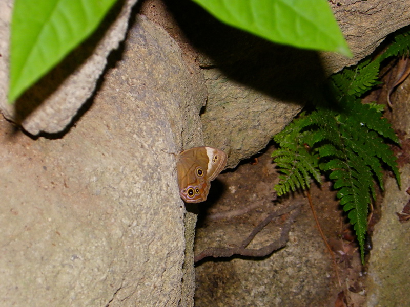 f0204094_20584023.jpg