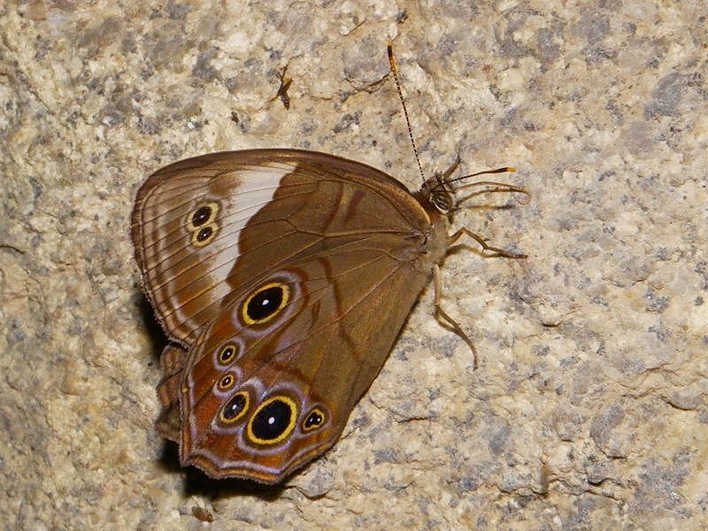 f0204094_20585392.jpg