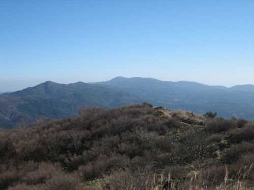 f0036700_11244062.jpg