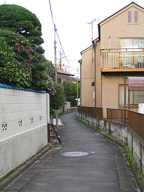 c0163001_23303684.jpg
