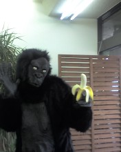 c0164401_224526.jpg