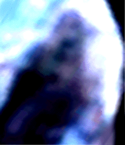 e0103408_13570100.gif