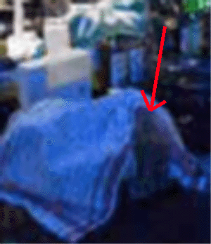 e0103408_1414343.gif