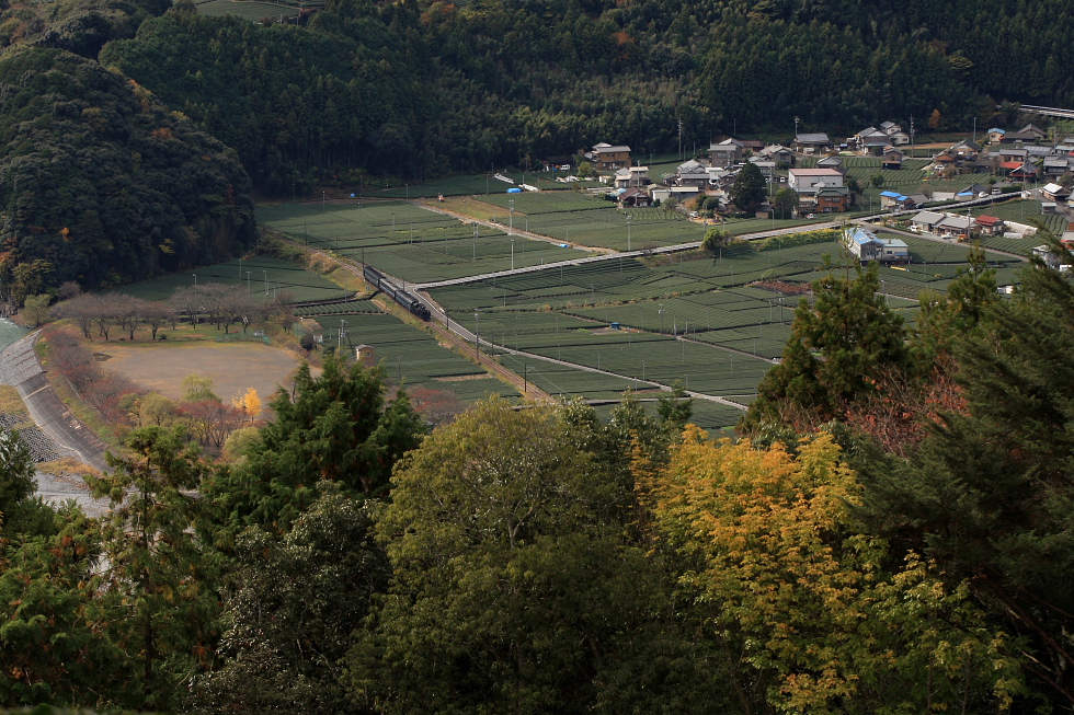 抜里築堤 - 2010年秋・大井川 -_b0190710_715764.jpg