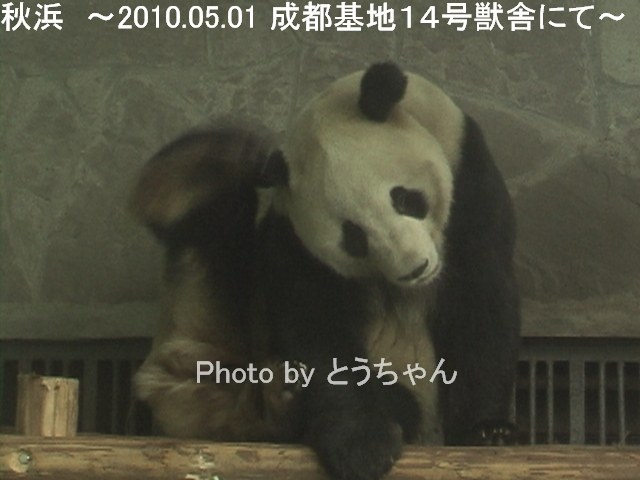 f0079716_2122141.jpg