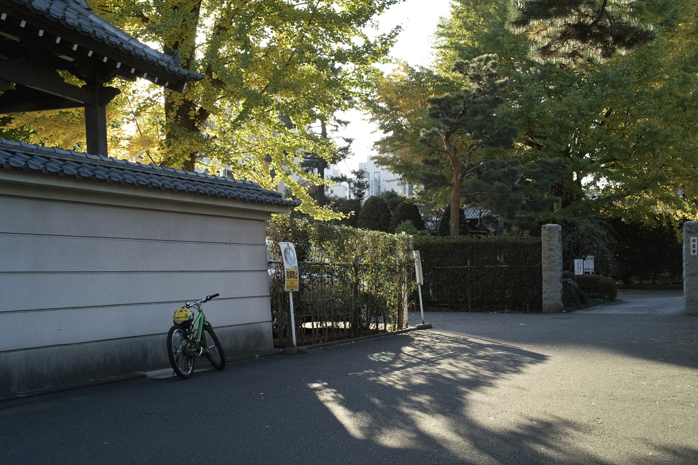 c0213117_135717.jpg