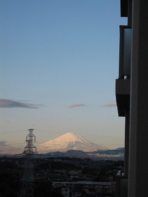 a0111621_16192668.jpg