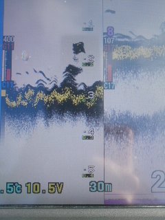 12月8日水曜日。_e0100021_23145813.jpg