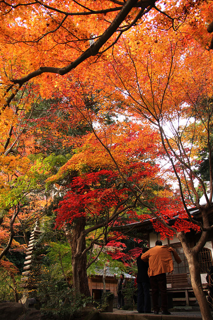 鎌倉～秋の覚園寺　２_e0214724_23101195.jpg