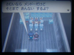 ポケットモンスターブラック縛りプレイ 冷凍コンテナ つきねこの日記 ポケットモンスターブラック縛りプレイ 冷凍コンテナ つきねこの日記