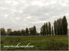 e0175228_11265520.jpg