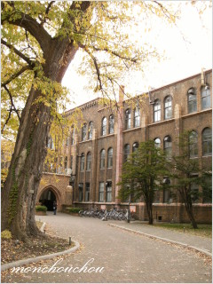e0175228_11455437.jpg