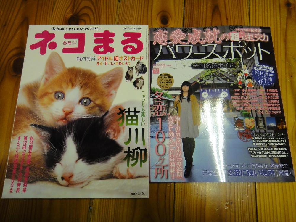 掲載されました_c0111229_17182363.jpg