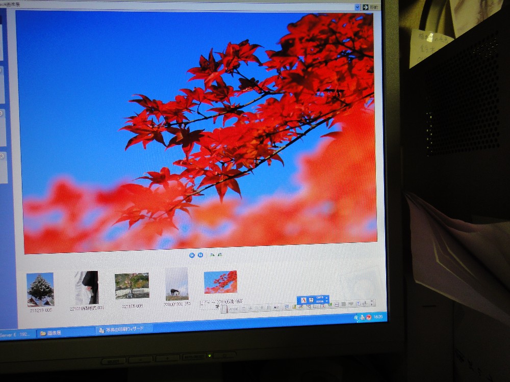 掲載されました_c0111229_1718585.jpg
