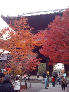 秋の京都_b0184333_20321698.jpg