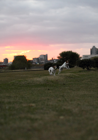 夕焼け こやけ_f0070233_21192739.jpg