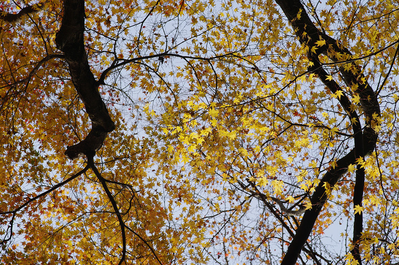 f0152550_23201645.jpg