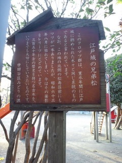 b0208756_2218869.jpg