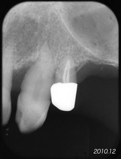 f0103459_8343410.jpg