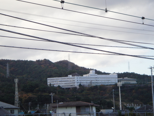 c0108460_1359278.jpg