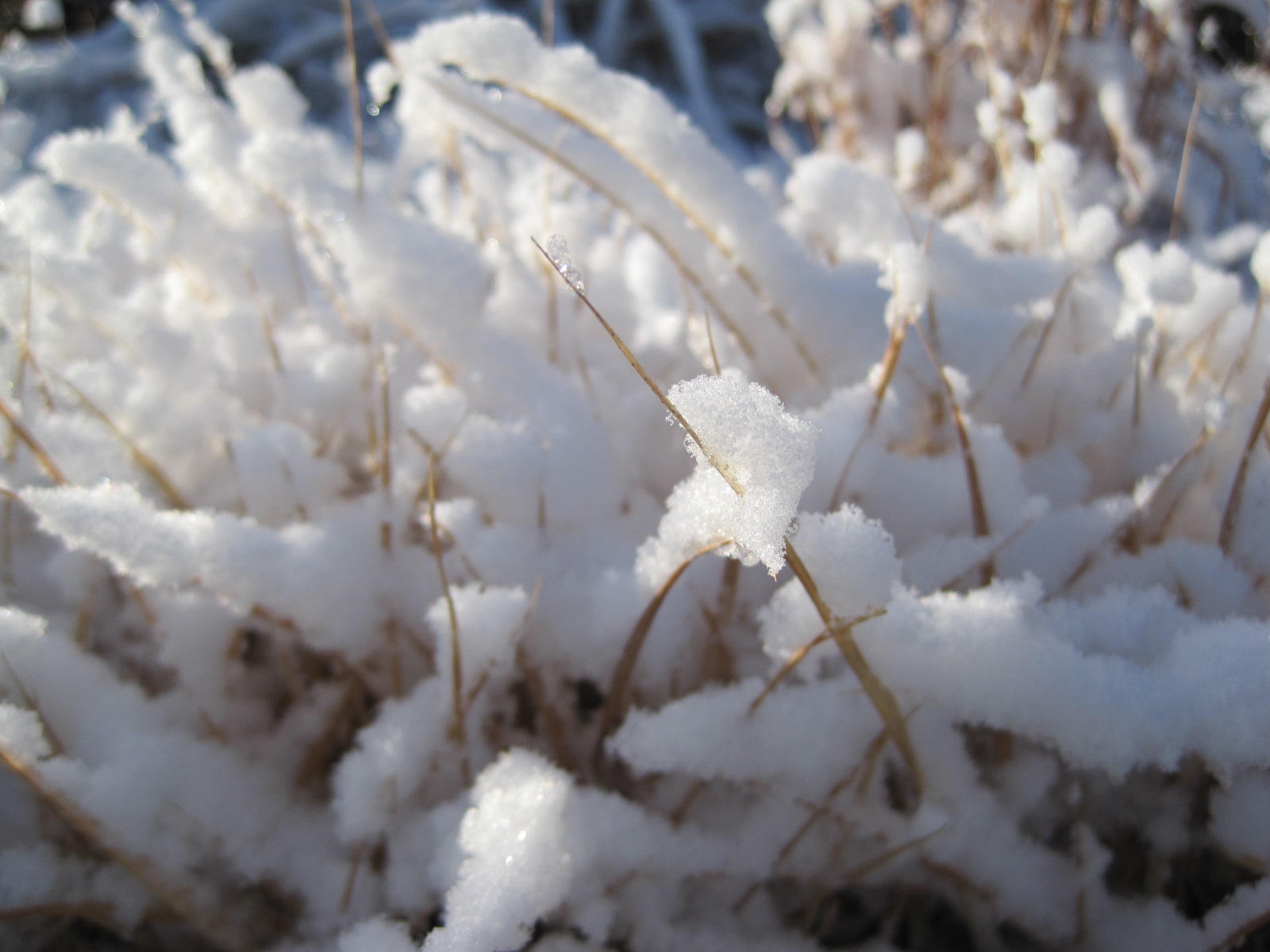 雪景色はキレイだけれど・・_f0236260_232610100.jpg