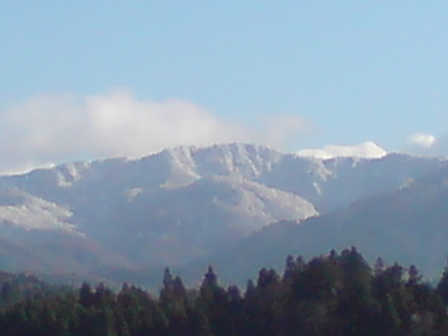 ブログ再開。_d0182179_1824149.jpg