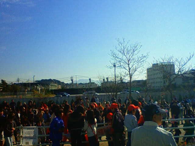 今年もこの季節_c0009280_18291184.jpg