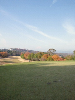 b0147481_15403330.jpg