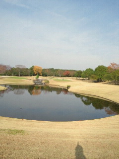 b0147481_15403332.jpg