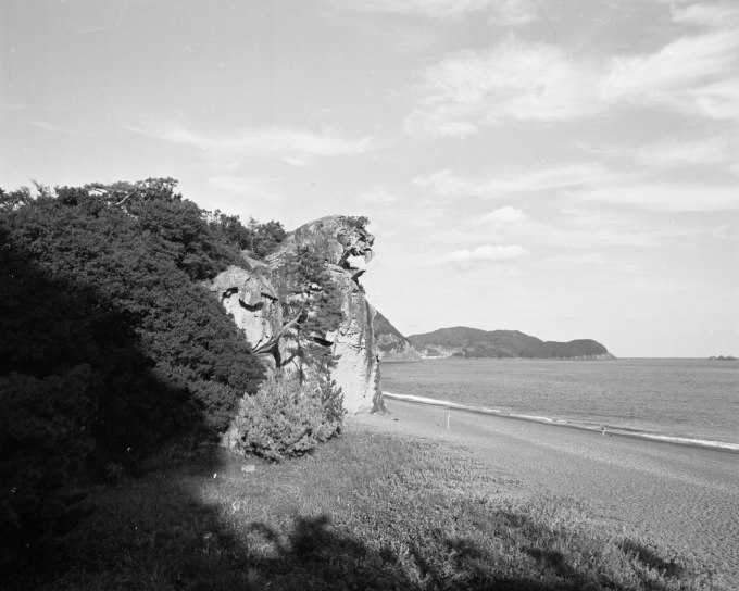 d0045383_17234474.jpg