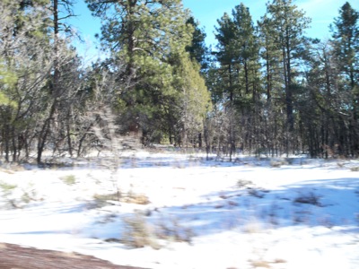 e0183383_1113425.jpg