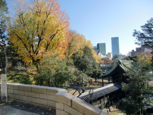 b0207284_051493.jpg