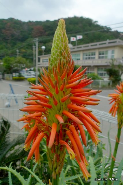 b0115085_9351030.jpg