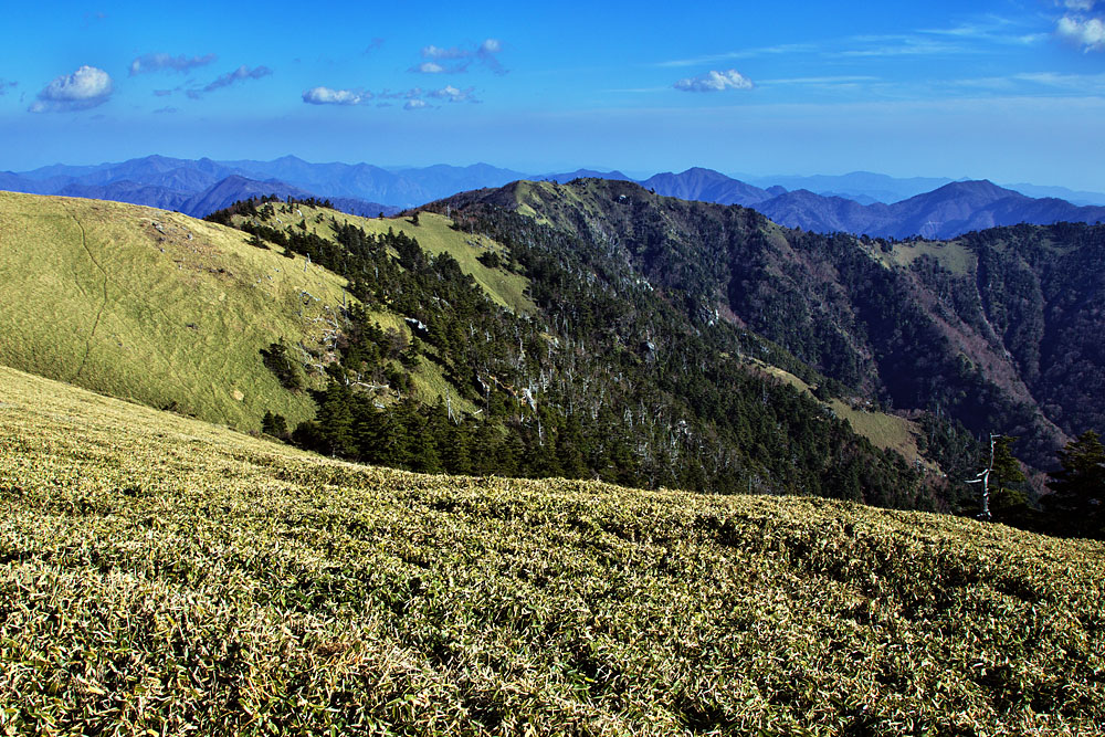 a0141586_8573734.jpg