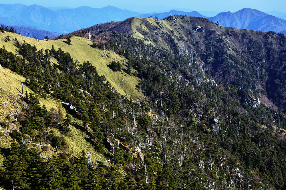 a0141586_90766.jpg