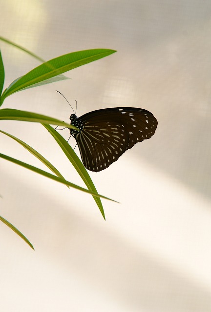 多摩動物園_b0151390_022356.jpg