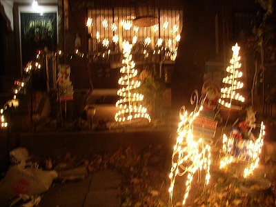 b0209691_15244432.jpg