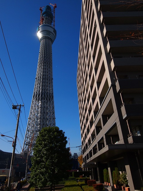 オープンカレッジ　「初めてスカイツリーの下に行きました」_a0110794_012422.jpg