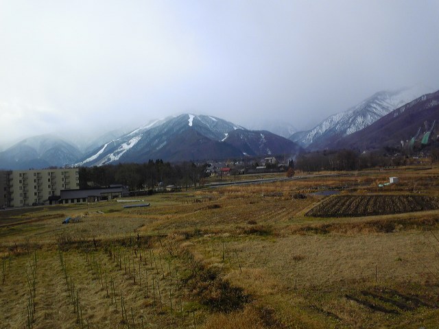 f0102803_10463334.jpg