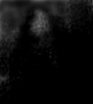 e0103408_15345656.gif
