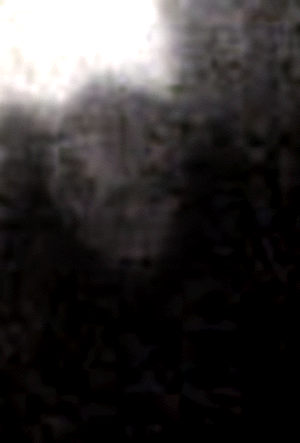 e0103408_15432017.gif