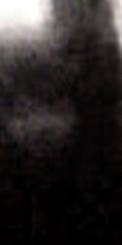 e0103408_15432749.gif