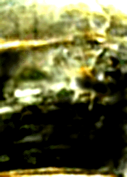 e0103408_18301217.gif