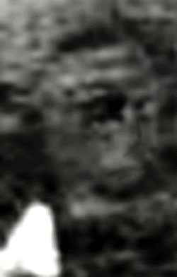 e0103408_18405859.gif