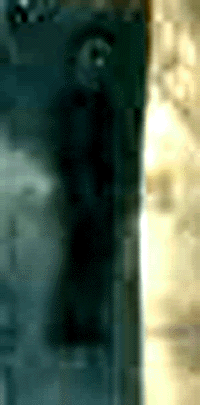 e0103408_1841183.gif