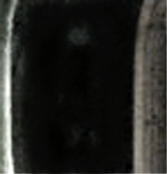 e0103408_18413321.gif