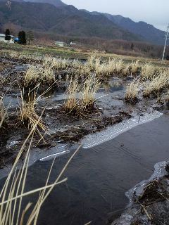 安曇野携帯発:里は氷、山は雪！_c0047814_11205264.jpg